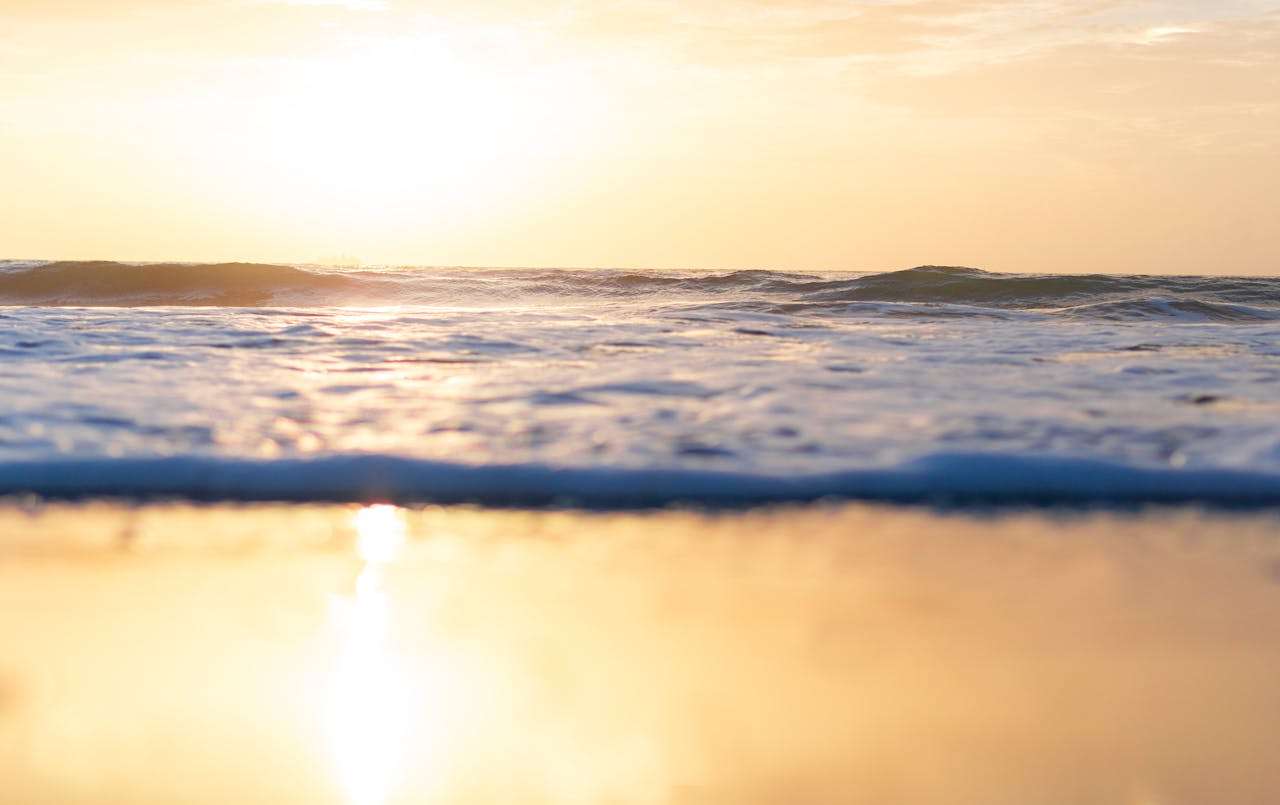 从海明威到狄金森：英语文学中的孤独美学与情感表达