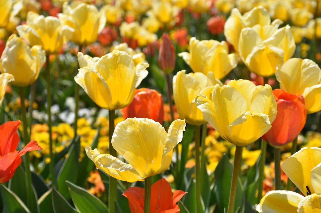 在英语美文中寻找人生答案：5篇改变思维的经典短文赏析