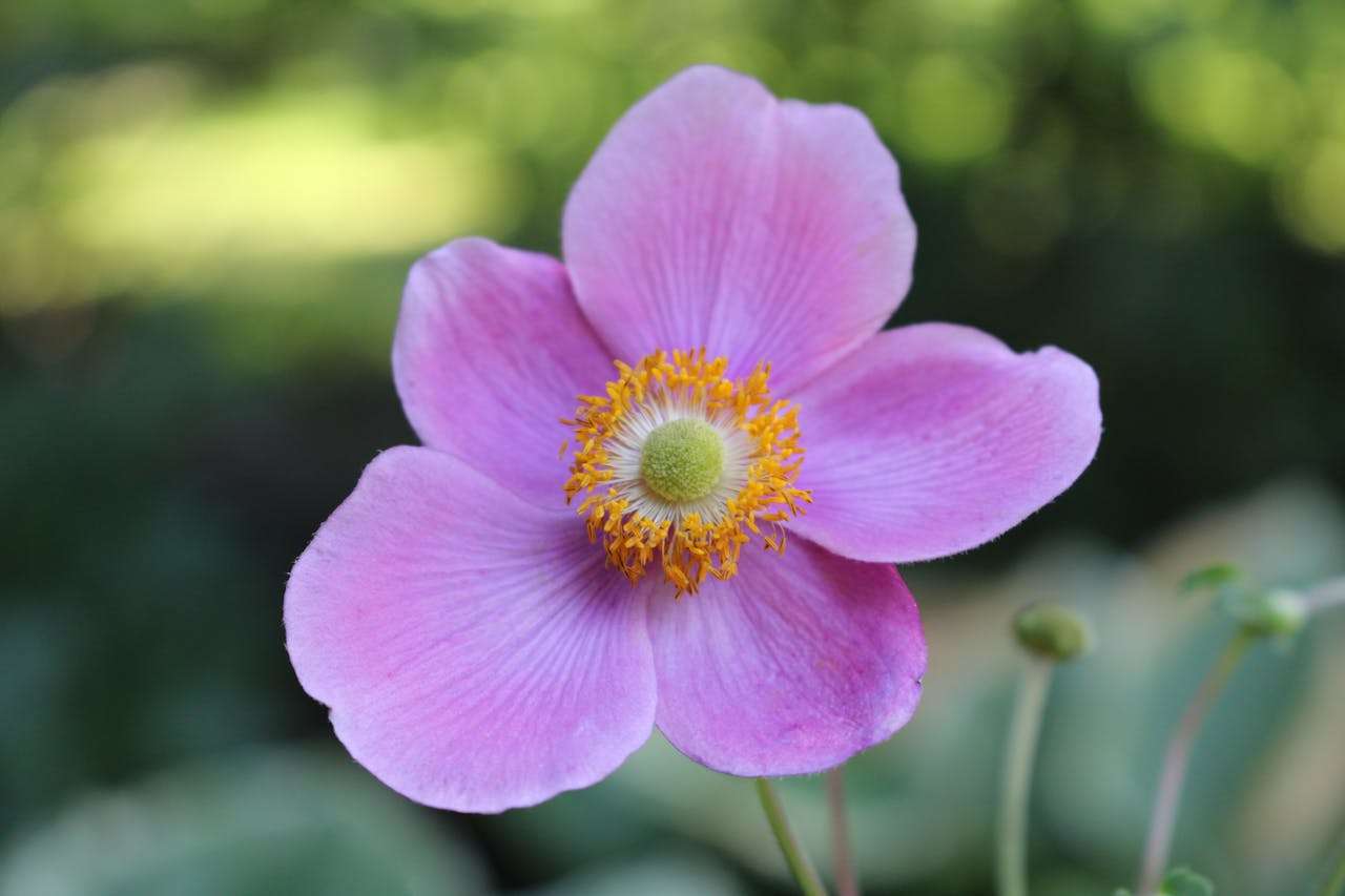 订单出问题怎么办？10个英文售后沟通邮件模板化解客户投诉