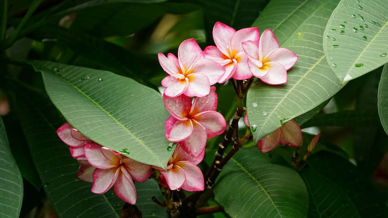 搞定欧美客户：10个地道商务英文邮件模板全解析