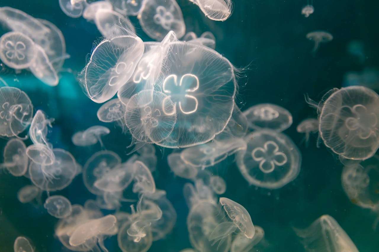 跨境电商卖家收藏：10个售后英文邮件模板解决常见问题