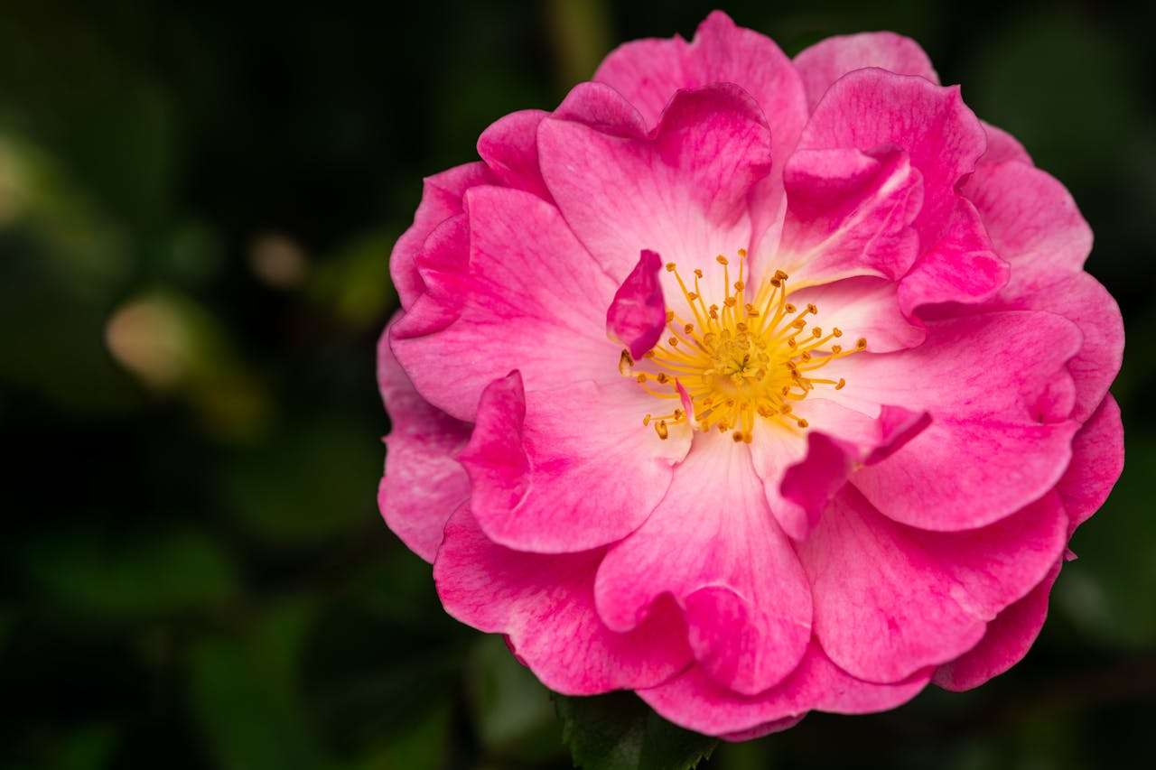 节日营销不落空：9个英文节日促销邮件模板提升订单量