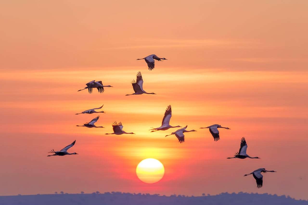 电子行业外贸专用：8个技术沟通类英文邮件模板