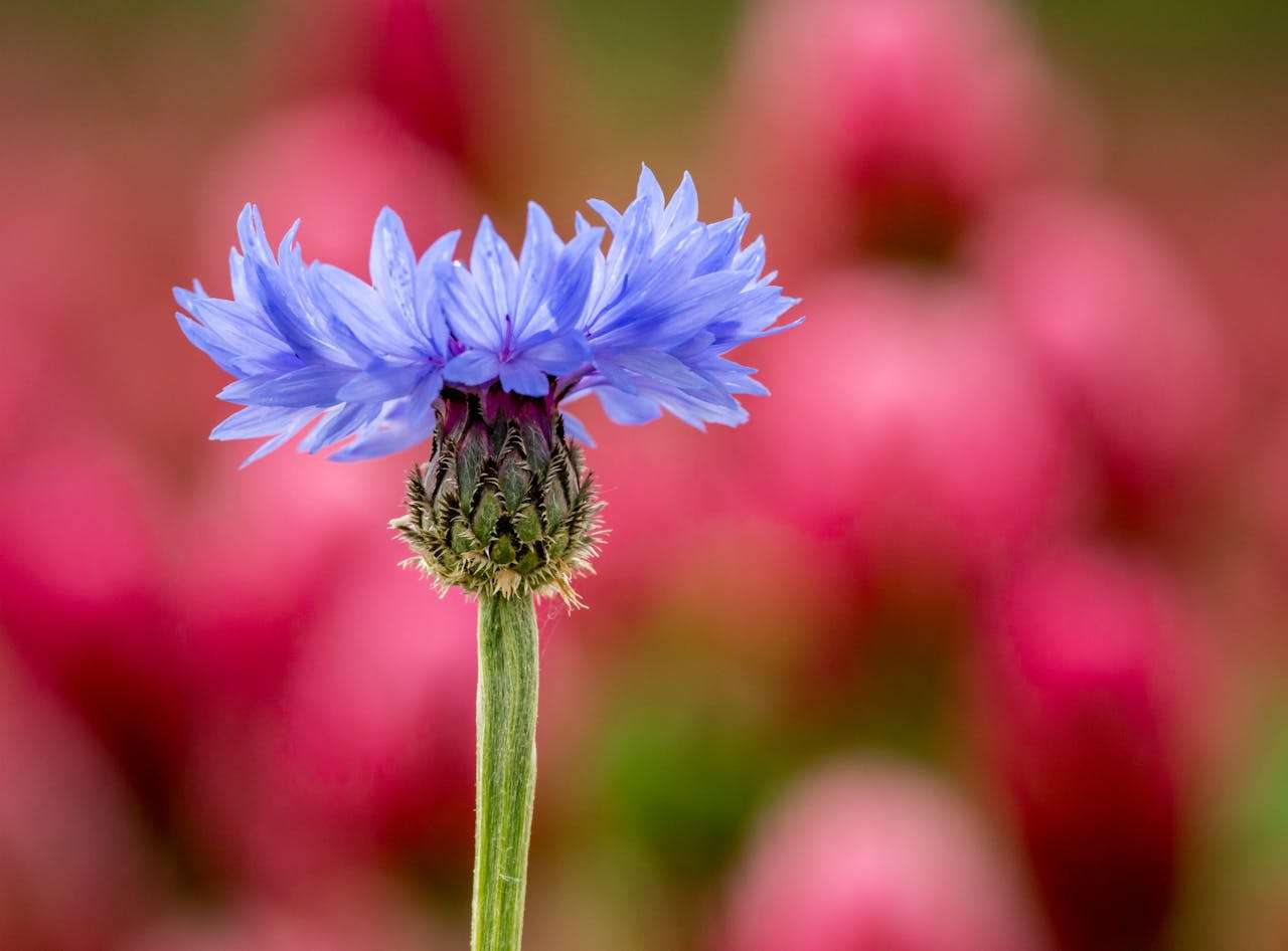 跨境电商专用：10个跨境电商卖家常用英文邮件模板