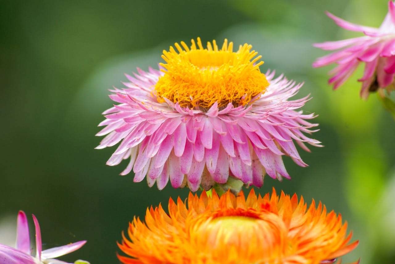 新手必看：8个基础商务英语邮件模板，快速上手职场沟通