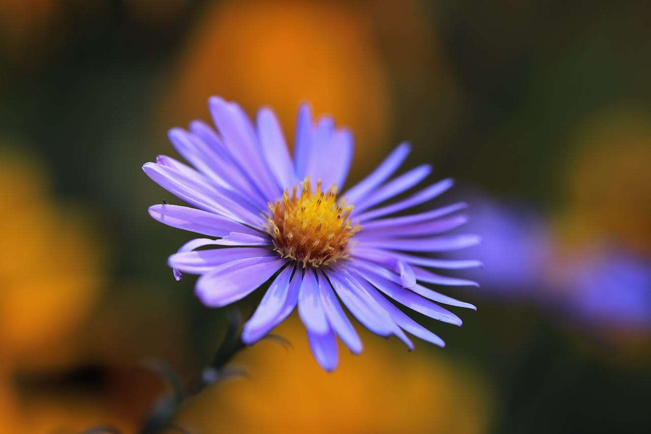 合作更顺畅：7个英文合同与协议沟通邮件模板，规避法律风险