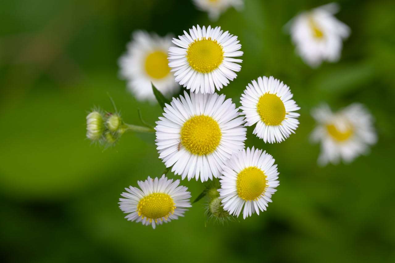 职场晋升必备：6个英文申请加薪与晋升邮件模板，自信表达诉求