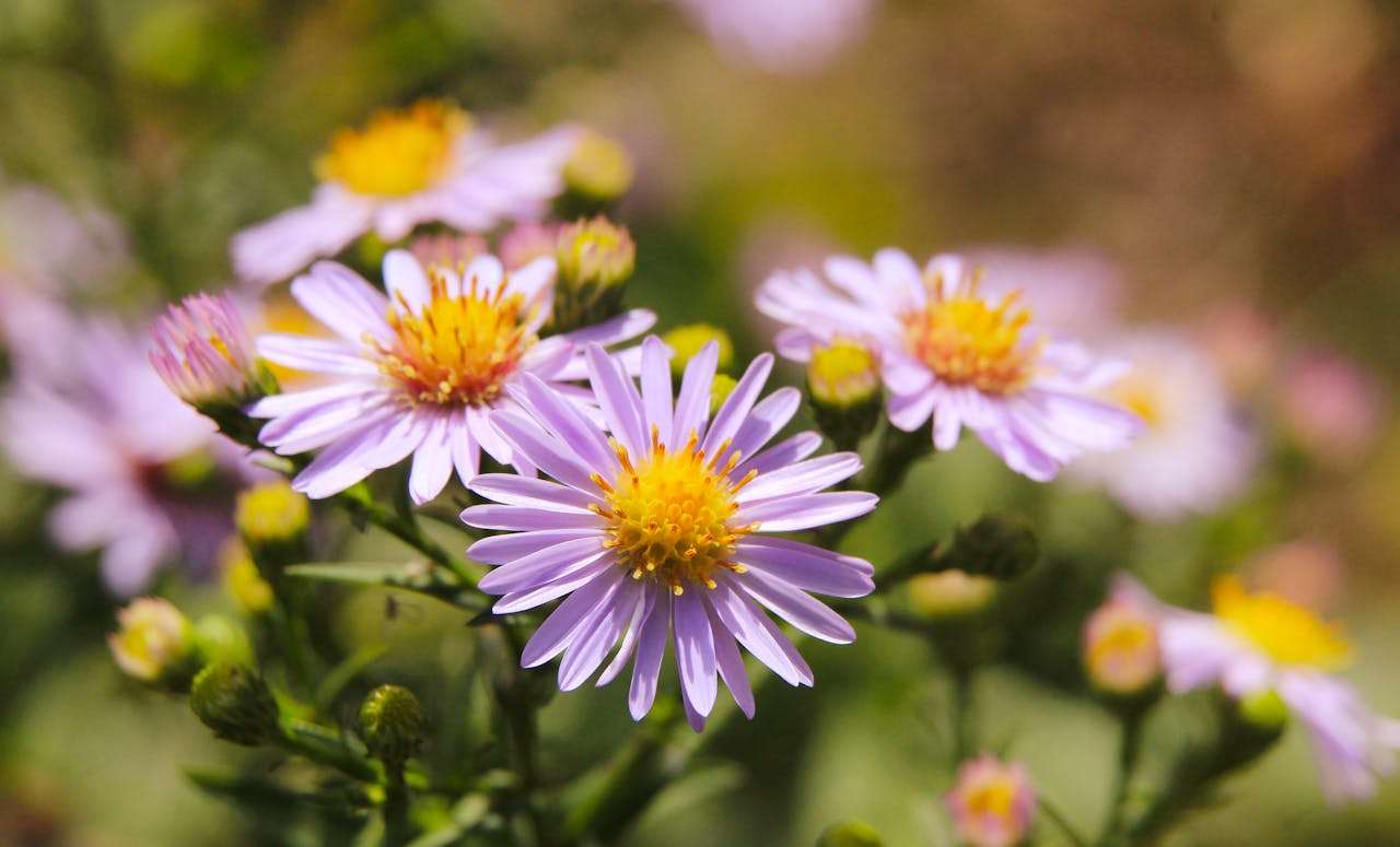 谈判加分项：7个英文议价与折扣邮件模板，助你拿下理想订单