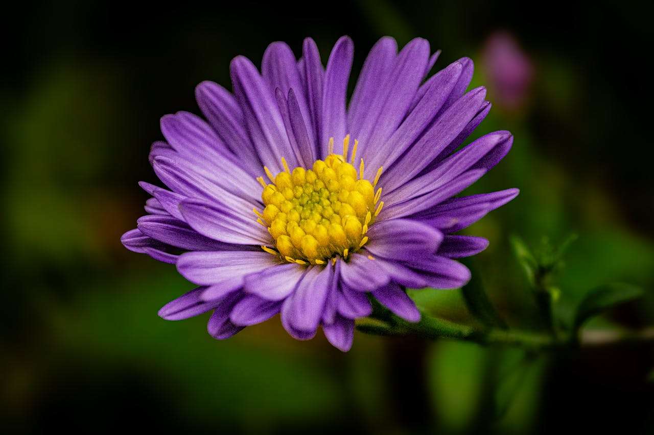 客户迟迟不回复？试试这9个催单跟进英文邮件模板