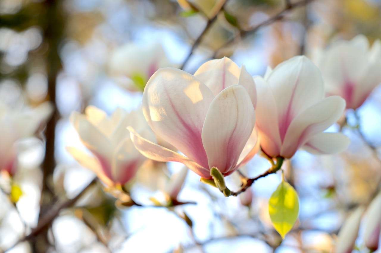 客户跟进有章法：9个英文 follow-up 邮件模板，激活沉默客户