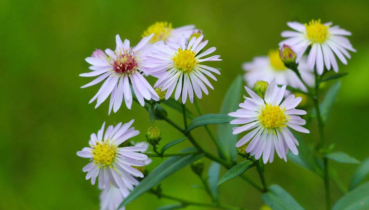 客户流失预警？5个英文客户挽回邮件模板重燃合作希望