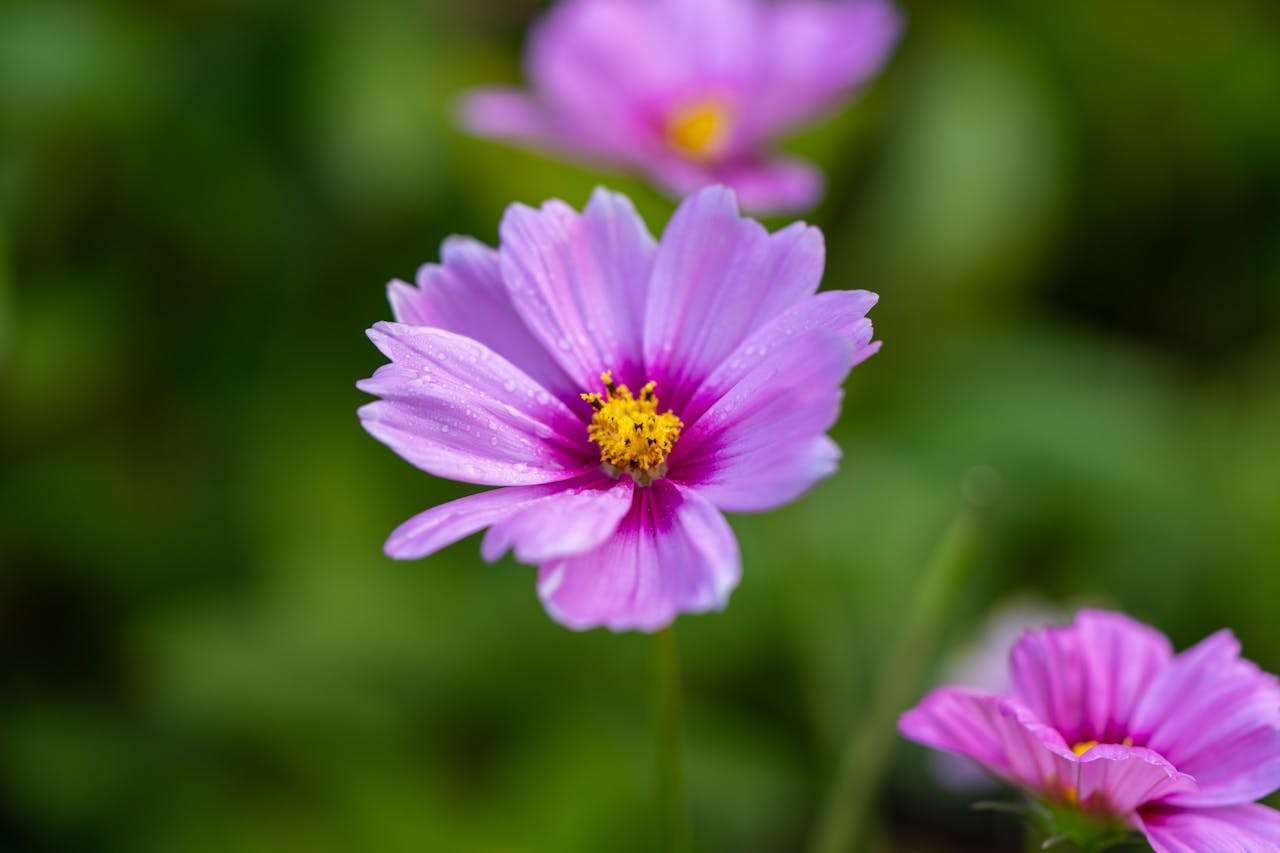 建立长期合作：8个英文客户维护邮件模板，增强客户粘性