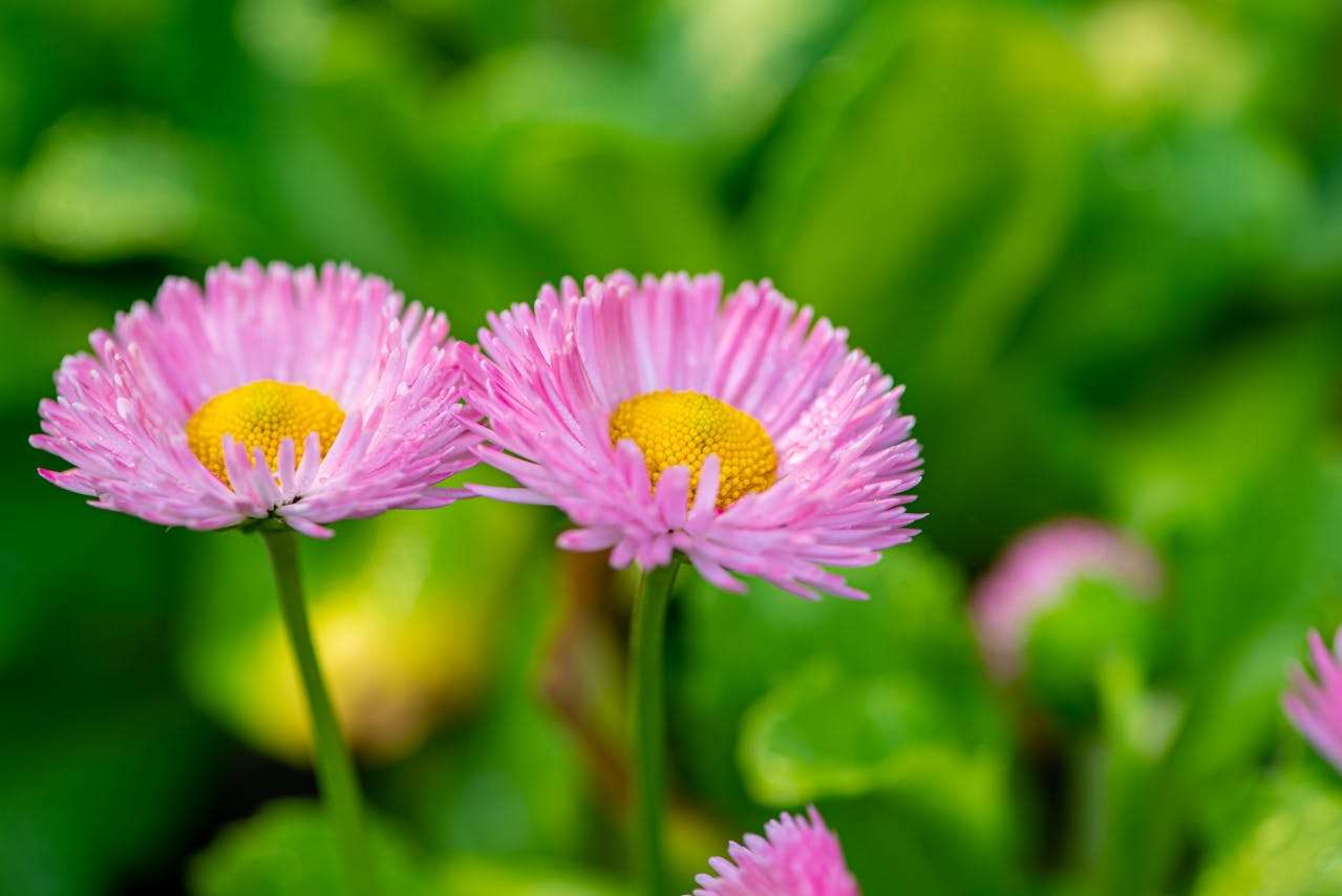 客户投诉别慌！8个英文售后处理邮件模板帮你化解危机