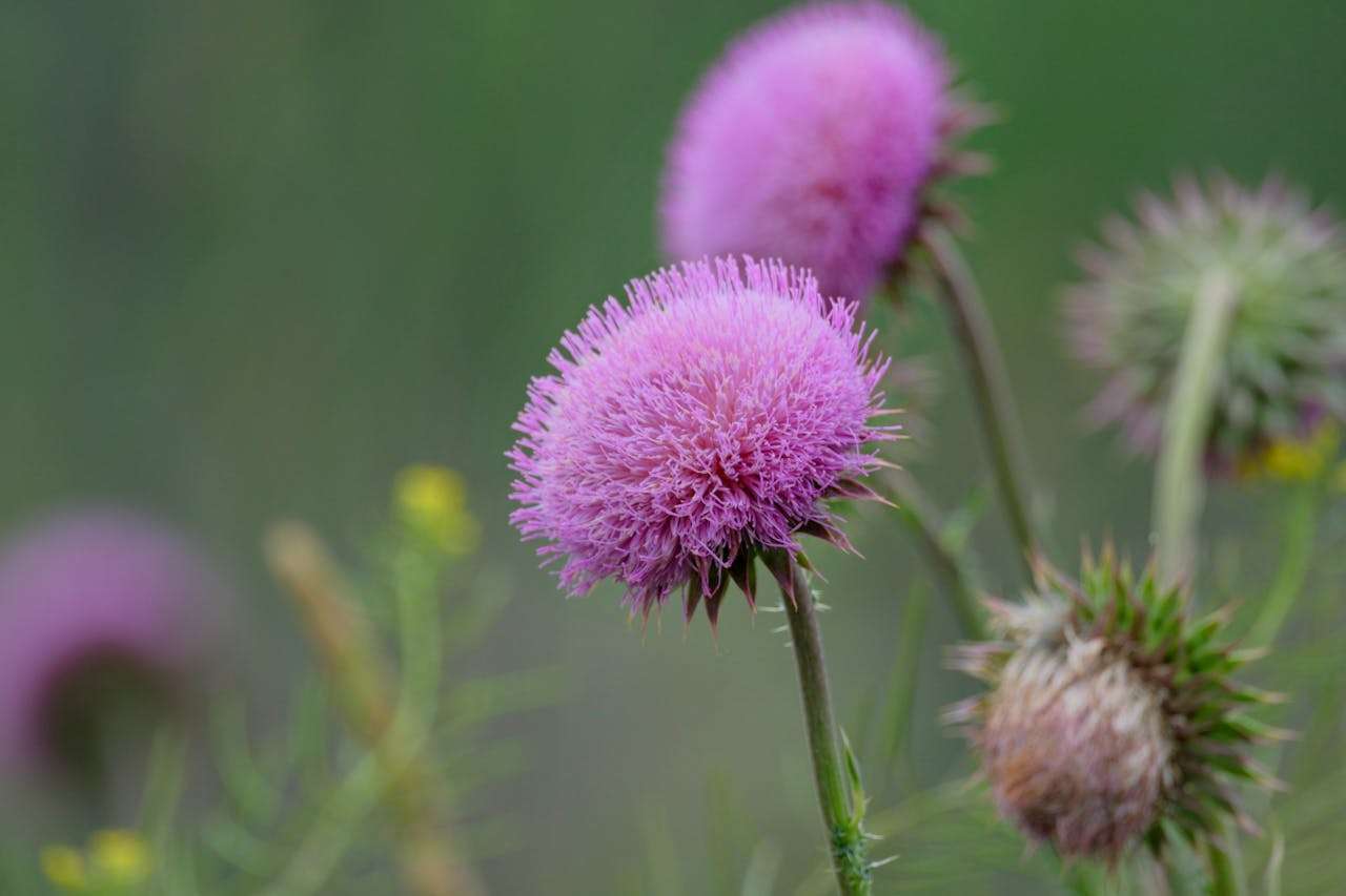 外贸旺季必备：7个订单确认与生产跟进英文邮件模板