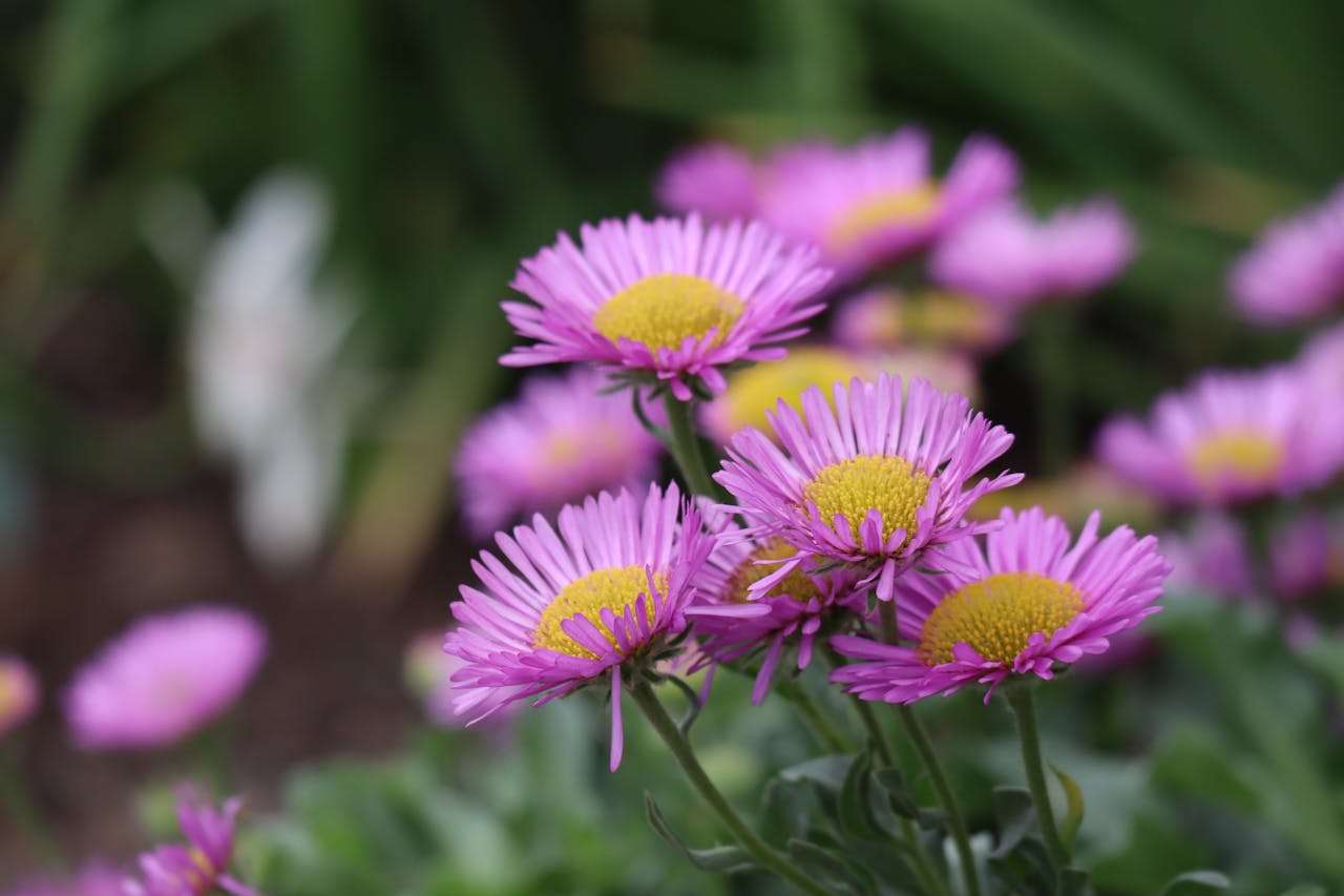 应对客户投诉：10个专业英文回复邮件模板，化危机为转机