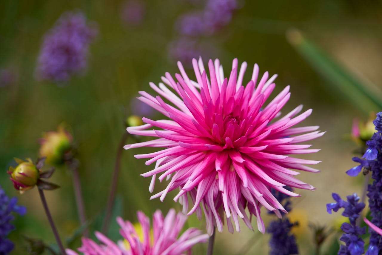 提升专业度：7个商务会议与预约英文邮件模板（含日程安排）