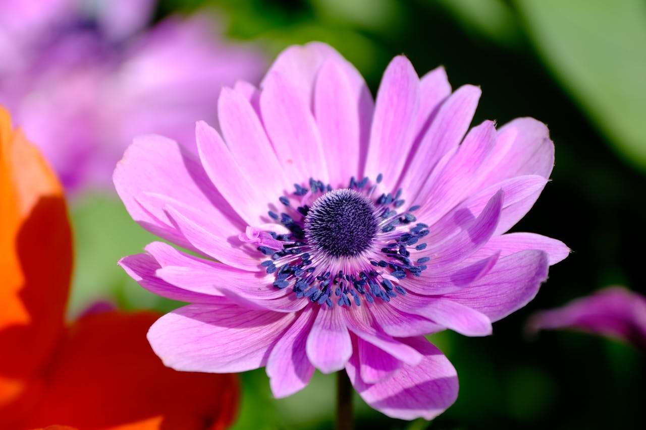 小学英语写作指南：我的家庭英语作文6篇，温馨又实用