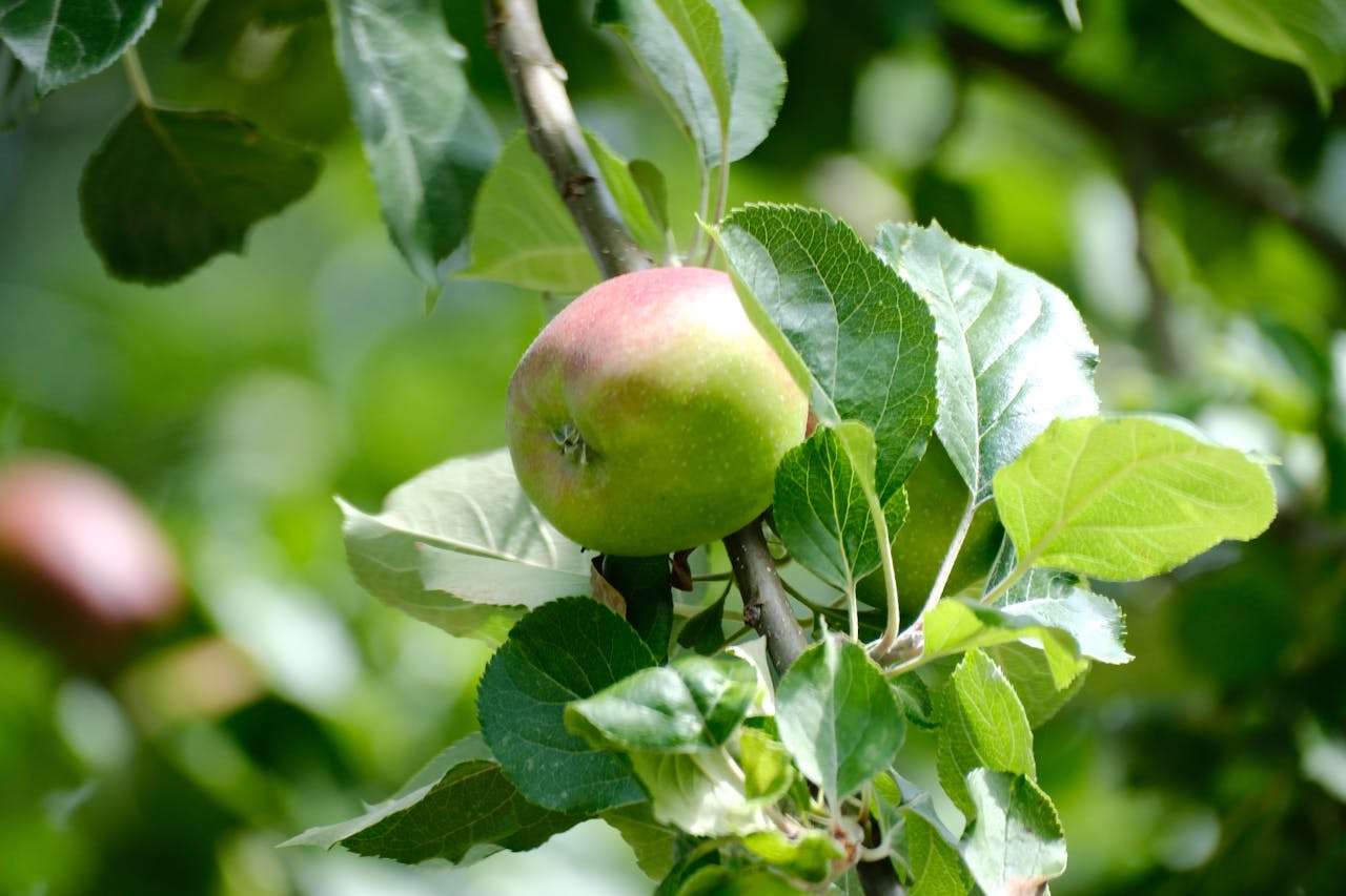 小学生英语作文10篇：我的暑假生活，轻松学会写假期故事