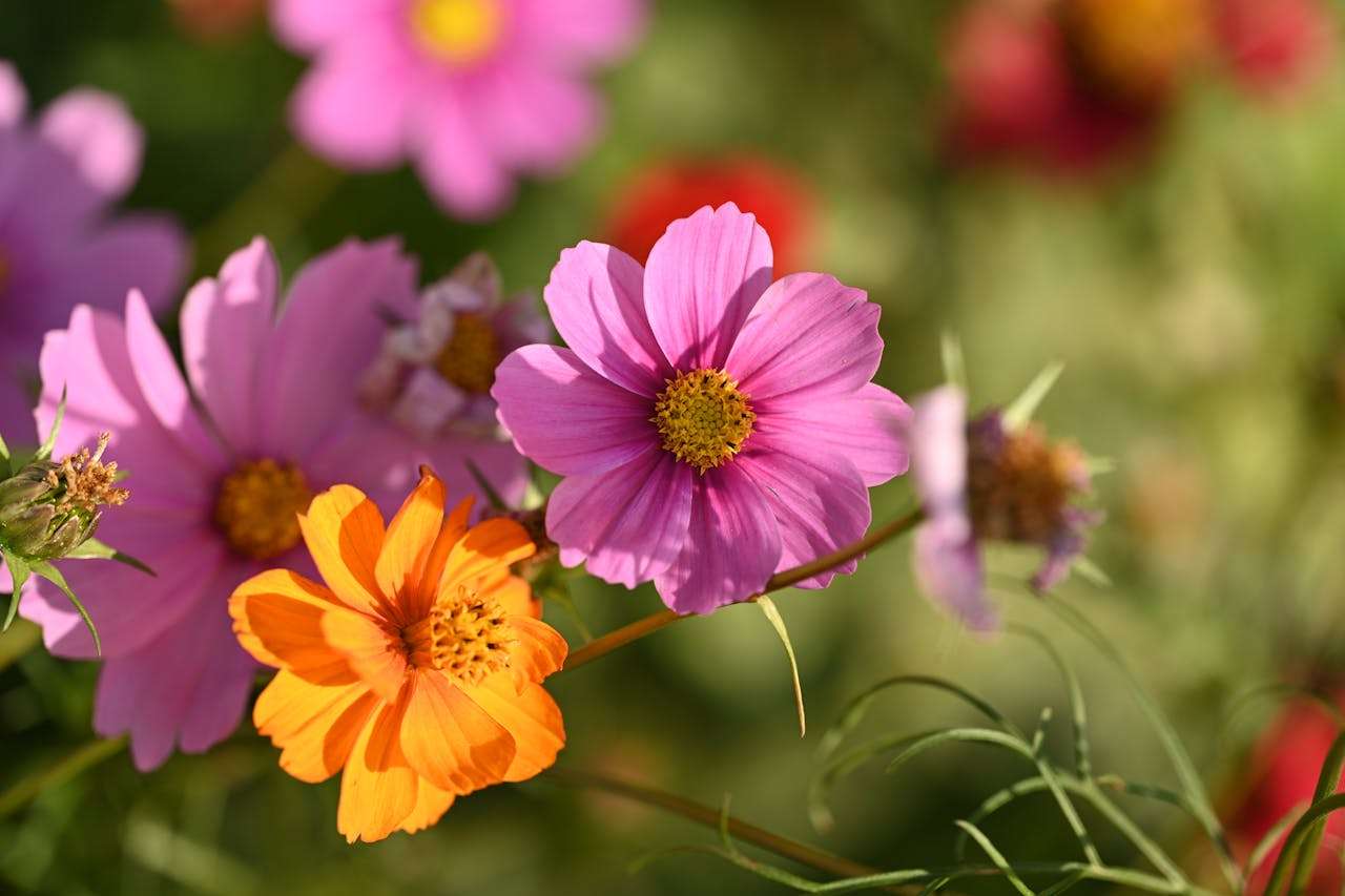 建立长期合作：6个英文感谢信与节日问候邮件模板