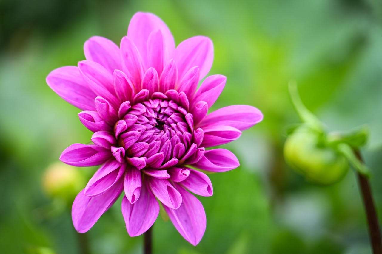 客户投诉怎么回？7个英文售后处理邮件模板拿去即用