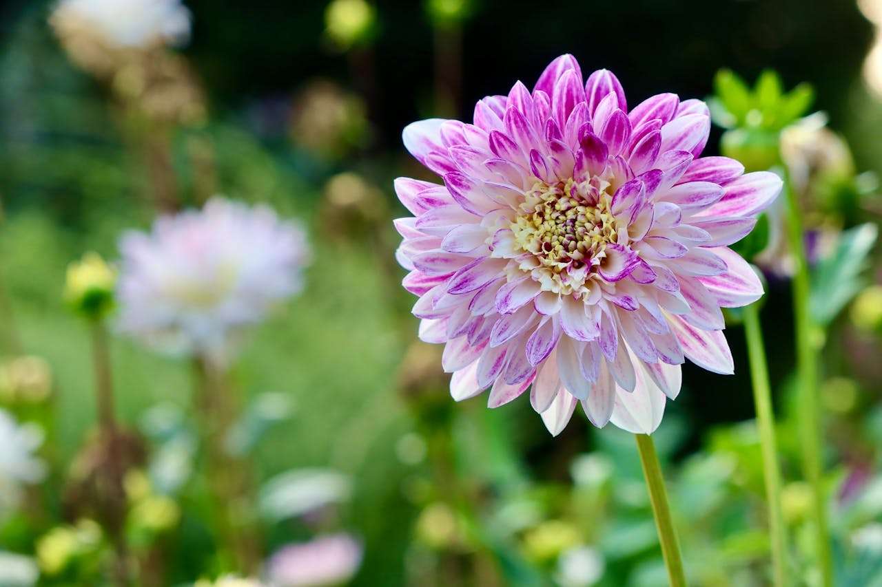 物流问题不用愁：9个英文 shipping & delivery 邮件模板合集