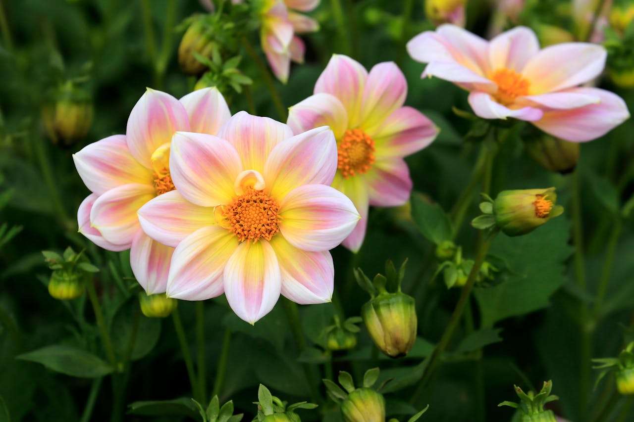 谈判不尴尬：8个英文还价与议价邮件模板，守住利润底线