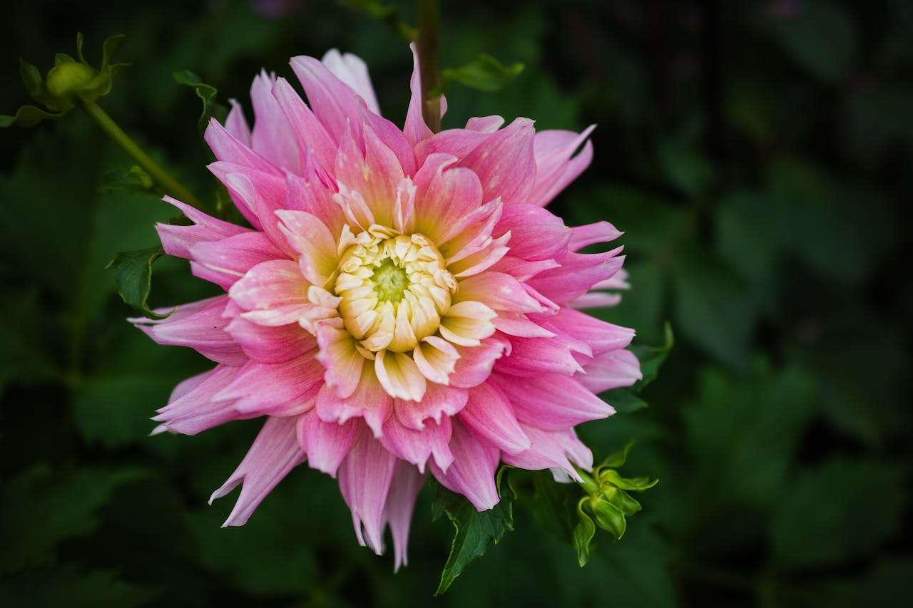 客户迟迟不回复？5个英文跟进邮件模板，巧妙催单不尴尬