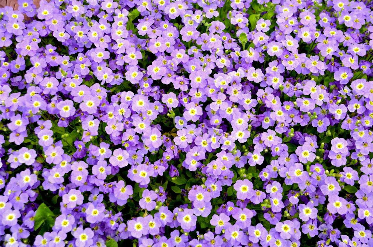 节日营销怎么做？8个英文促销邮件模板，提升客户回购率