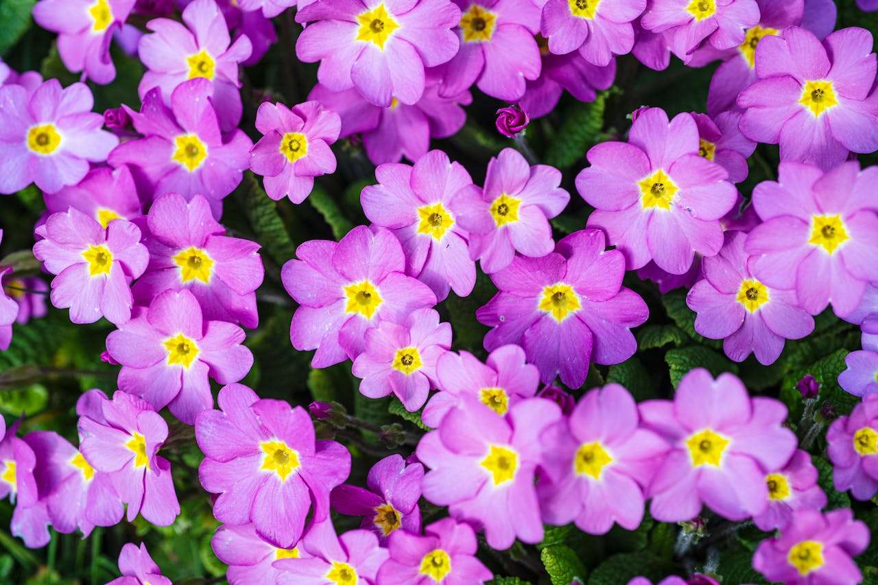 外贸报价不再难：7个专业英文报价邮件模板，清晰有说服力