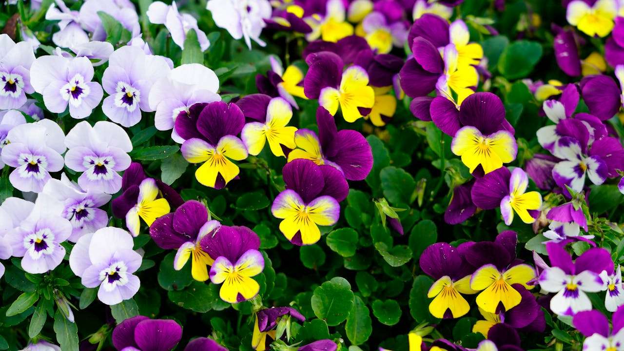 跨境电商卖家收藏：8个实用英文客服邮件模板，提升客户满意度