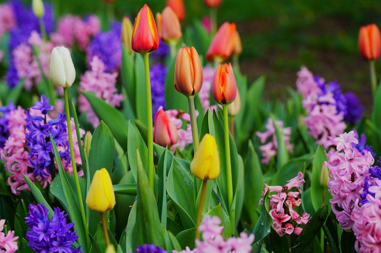 外贸人必备：10个高频英文邮件模板，轻松应对客户开发与跟进