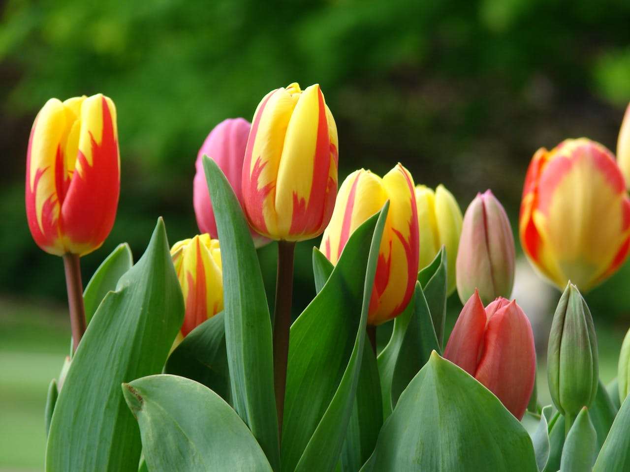 职场进阶必备：8个英文工作汇报与项目更新邮件模板，展现专业力