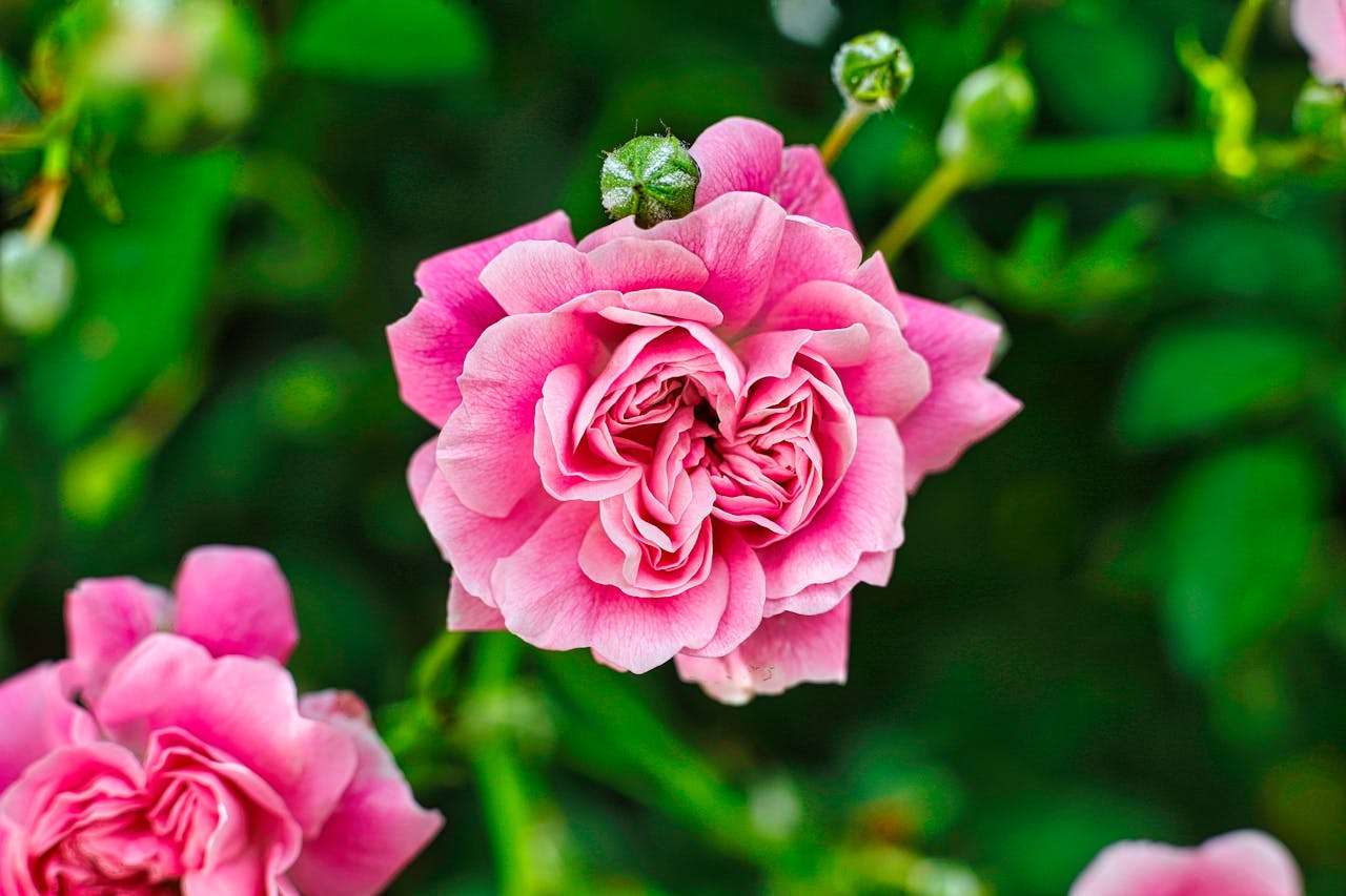 样品沟通全攻略：8个英文样品请求与发送邮件模板！