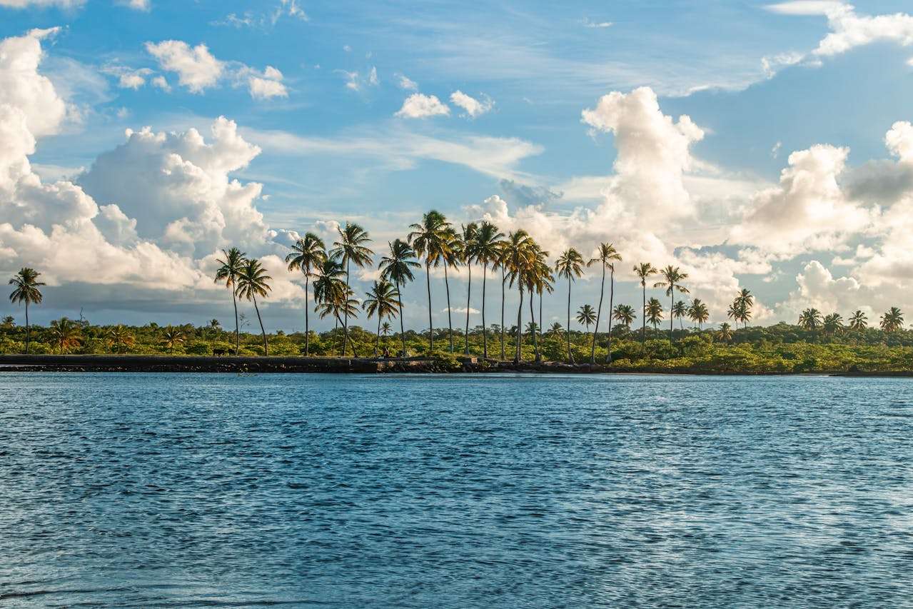 报价总被忽略？这7个专业英文报价邮件模板让你脱颖而出