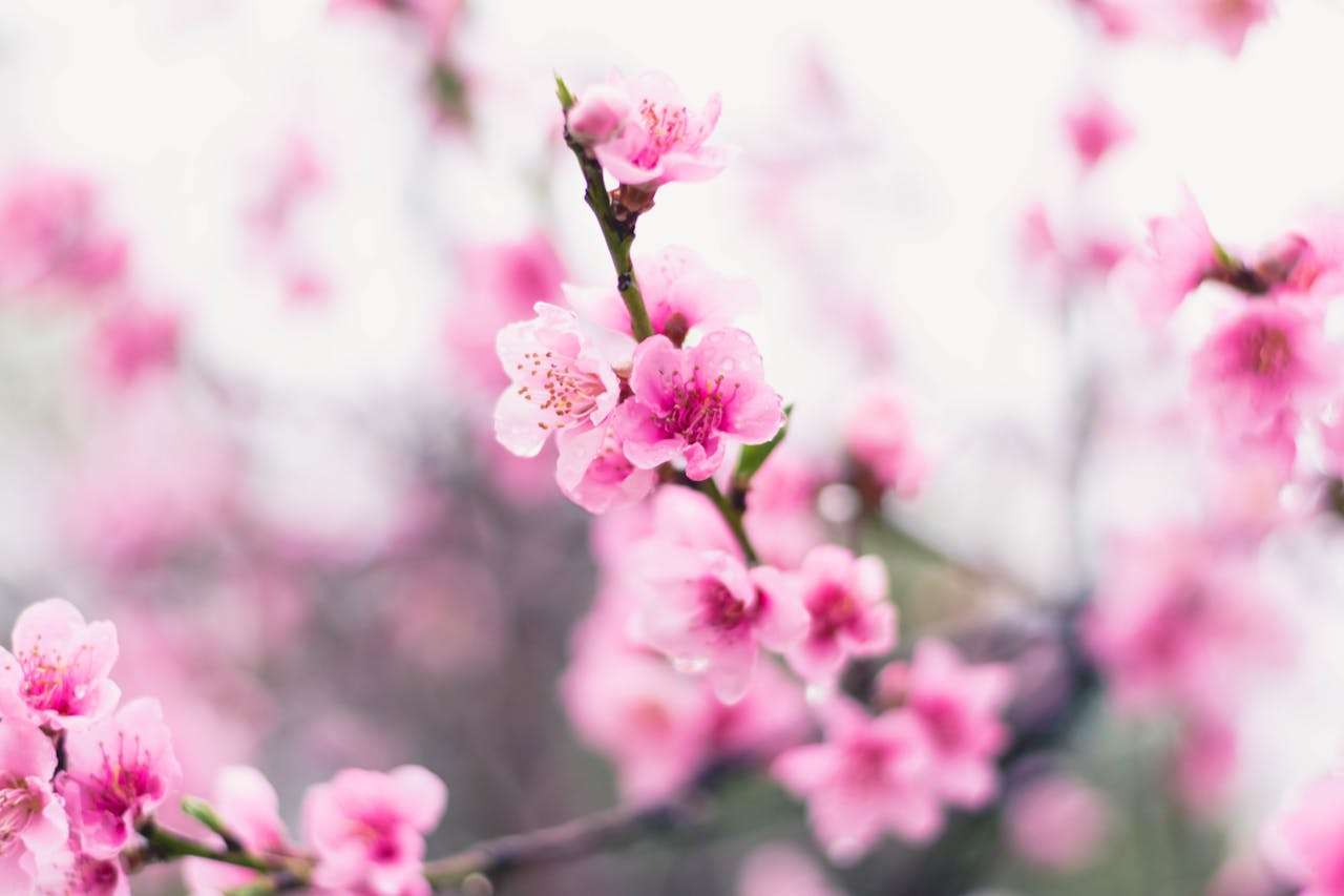 小学英语写作必看：四季描写英语作文6篇，学会用英语说天气