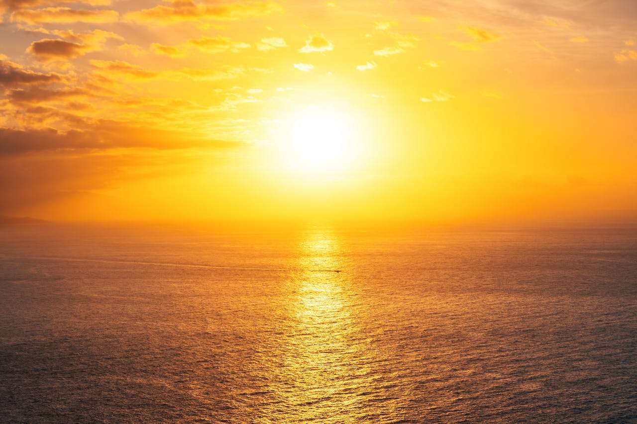 英语写作启蒙：我的学校生活作文（5篇精选）