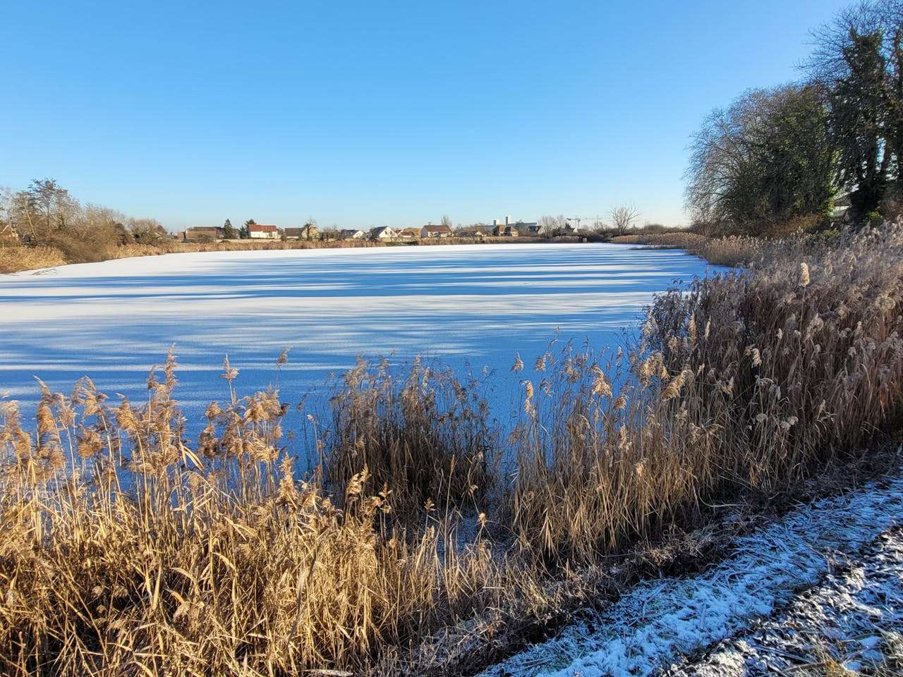 我喜欢的季节：5篇小学英语作文，带翻译与点评