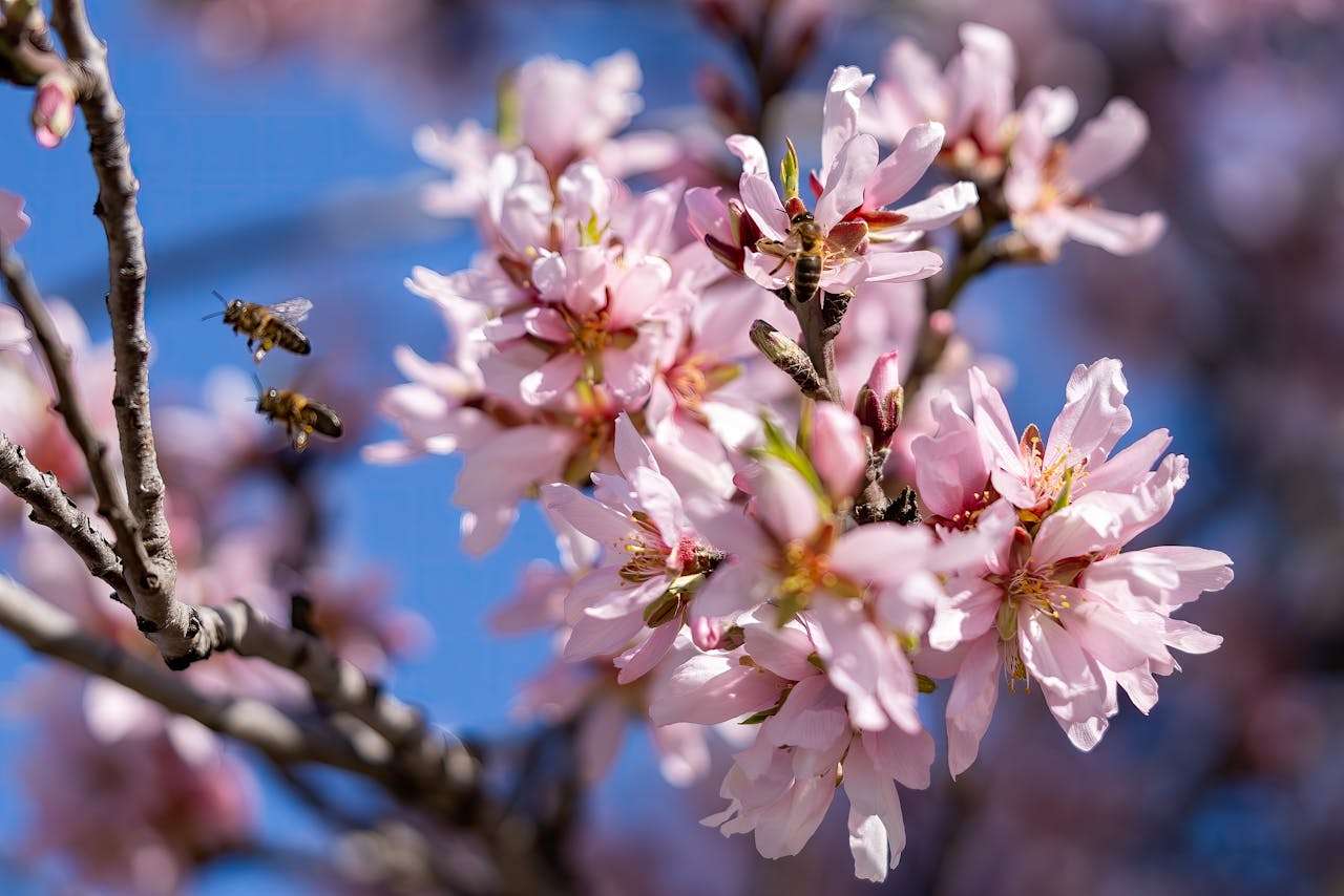 小学生英语作文10篇：我的家庭，简单易学的写作模板