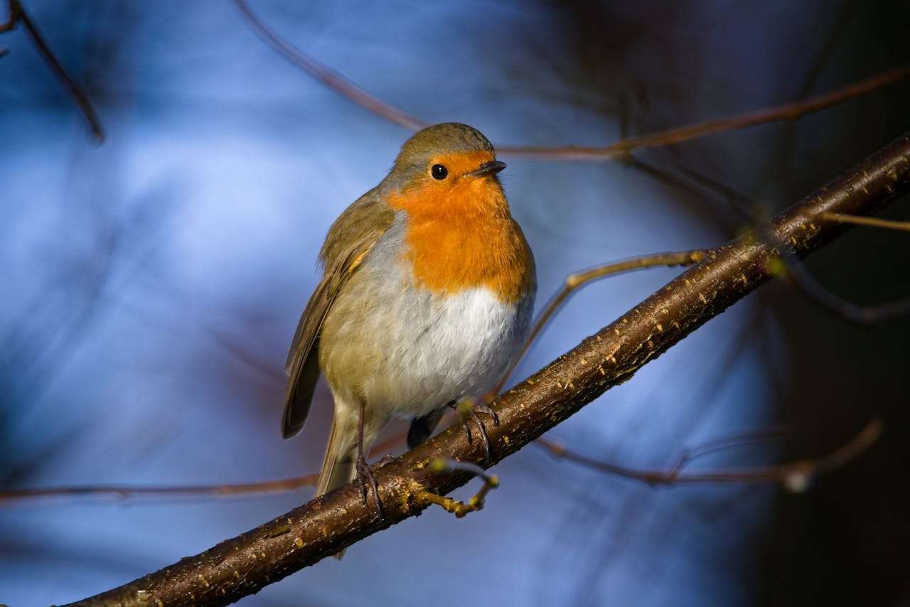 书信类英语作文全攻略：5种场景+高分作文详解