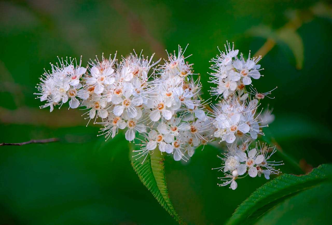 高中英语作文10篇：高分写作模板+中文翻译与点评