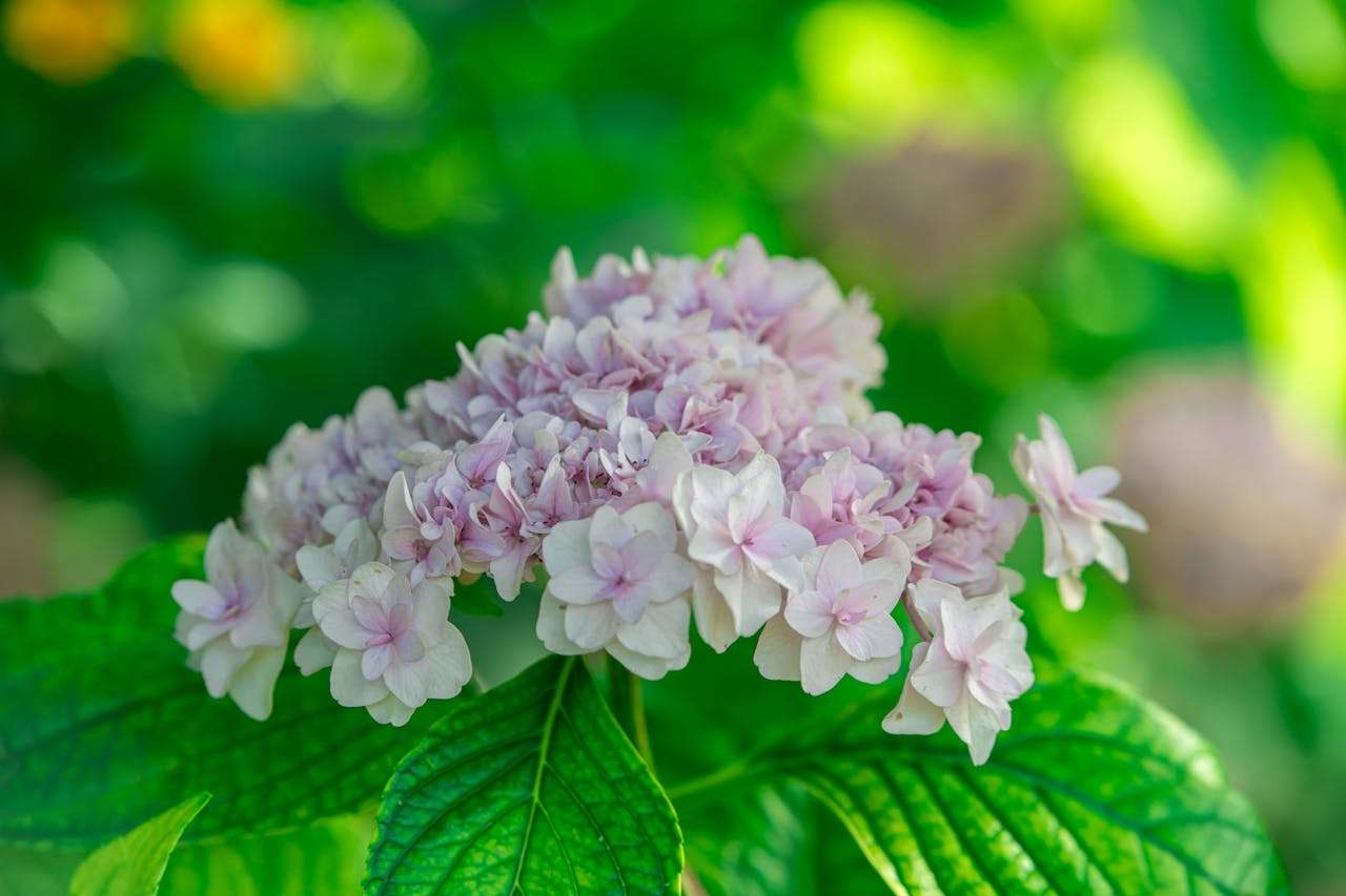 小学英语作文基础训练：“我的一天”英语作文7篇，结构清晰易模仿