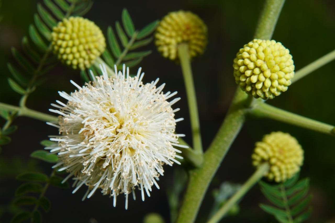 小学英语作文经典主题：”我的家庭“英语作文6篇，带翻译与写作指导