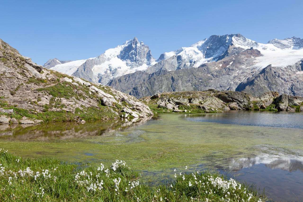 催款也能很体面：5个英文催款邮件模板，礼貌又有效