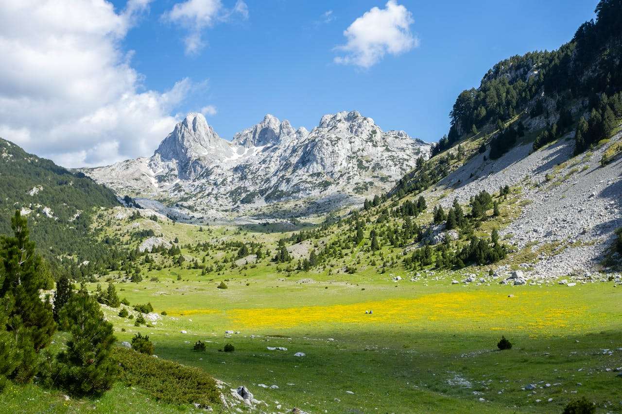 阿甘正传经典台词赏析：10句感人至深的英文金句，带你感悟人生真谛