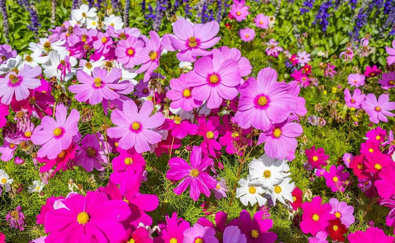 我的一天：小学英语作文10篇，从早到晚轻松写