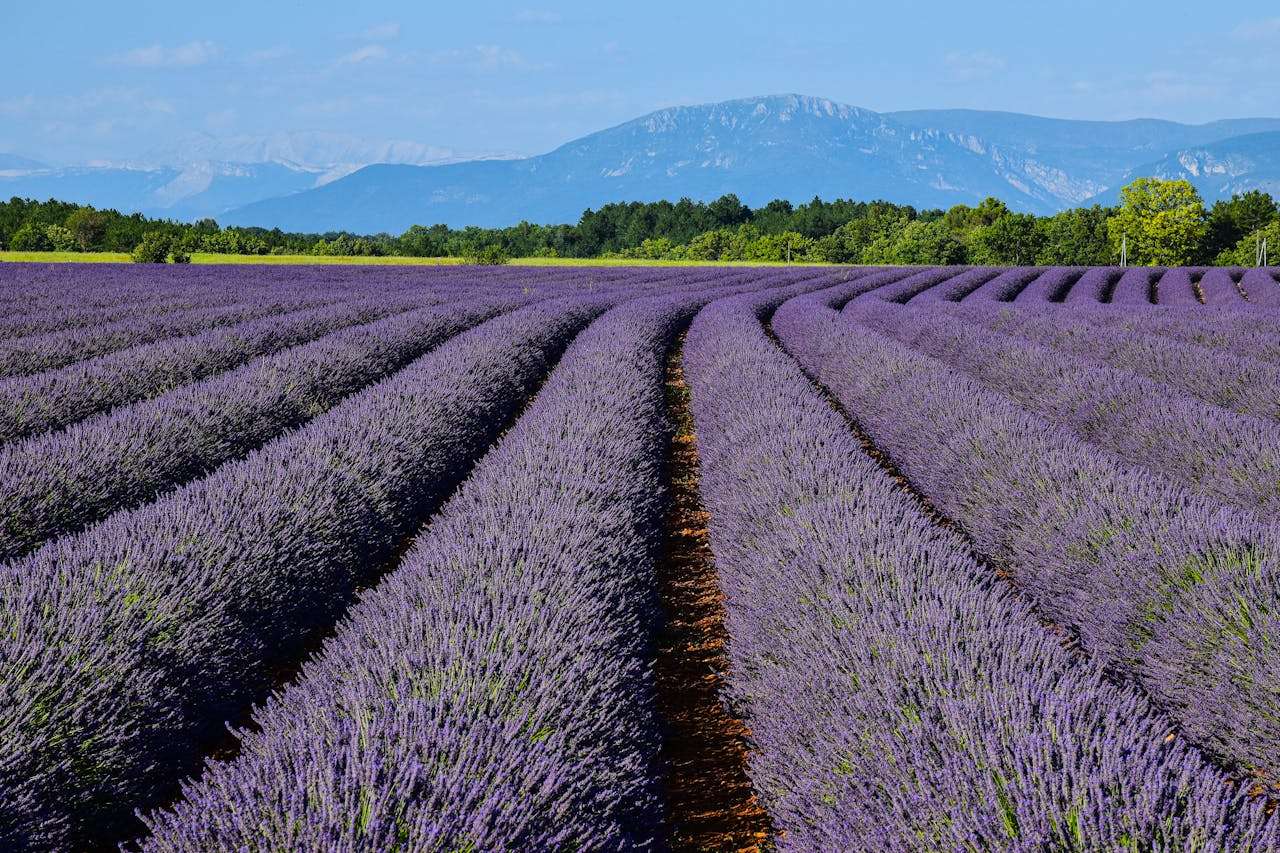 我的暑假生活：4篇初中英语作文+中文翻译与写作指导