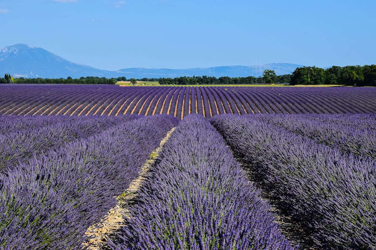 我的周末生活：4篇初中英语作文+中文翻译与写作建议