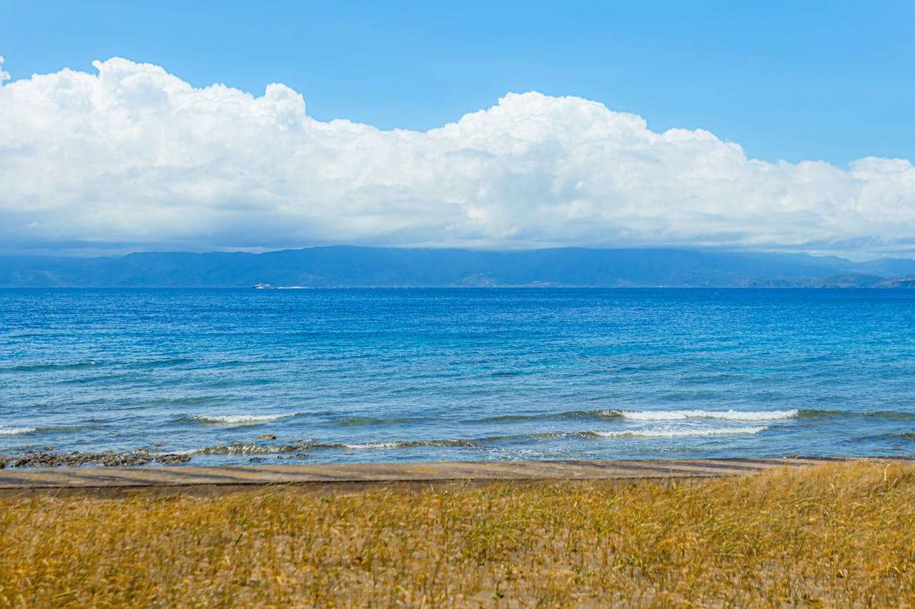 如何学好英语：5篇初中生英语作文+学习方法分享