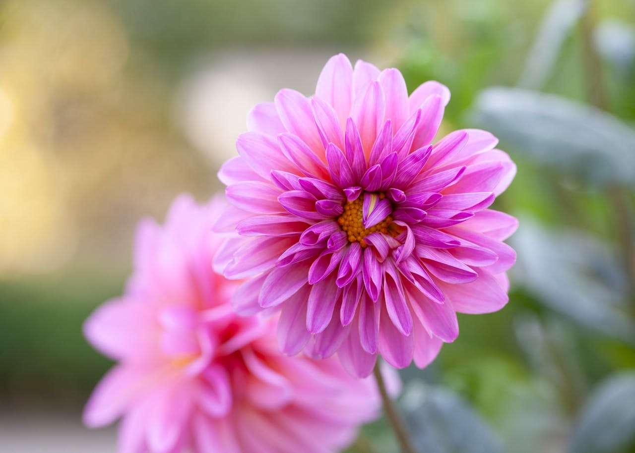 我的好朋友：4篇初中英语作文+友情主题写作技巧