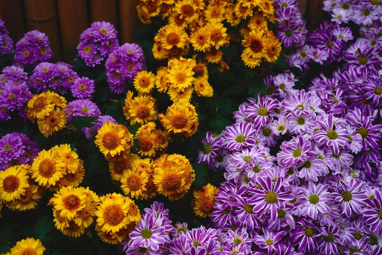 我的假期生活：5篇初中英语作文+写作思路指导